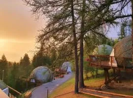 Alpin D'Hôme Hôtel & Spa