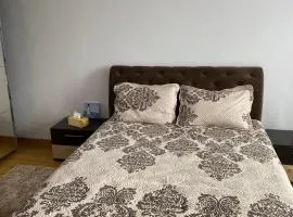 Arician full service