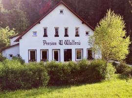 Penzion U Walterů – pensjonat w mieście Josefuv dul