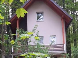 Peaceful Holiday Home in Hol n with Garden, cheap hotel in Prachov