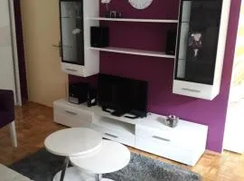 Stan Banjica