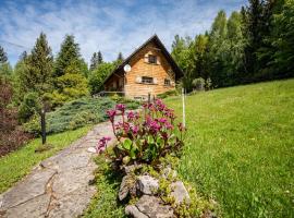 Chata Jarzębata، فندق في فيسلا