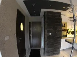 Black & White Komfortowe Apartamenty 2 km od Centrum