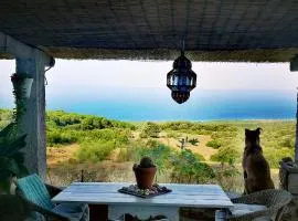 Charming House in El Chaparral