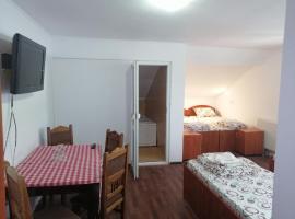 vila elly, cheap hotel in Piatra Neamţ