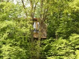 Baumhaus auf dem Kellerberg
