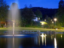 Familotel Mein Krug, hotel v destinácii Warmensteinach