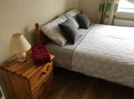 Double Rooms & Twin Rooms Rahoon, privat indkvarteringssted i Galway