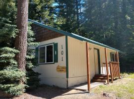 Hall Creek Cabin, hotel di Packwood