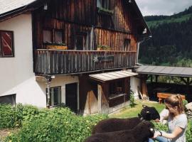 Zauneralm, farm stay in Aich