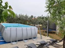 Apartment Ante
