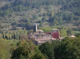Château de Camon