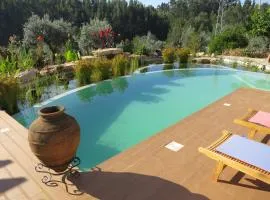 Casa Azul self-catering apartment with gorgeous biological swimming pool