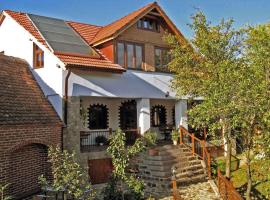 Casa Crina, holiday rental in Sălişte