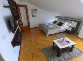 Apartman ZENIT, appartement in Vrnjačka Banja