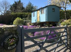 Shepherds Hut in the Hills - Nr. Mold, hotel with parking in Nannerch