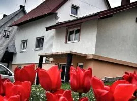 Apartment Balkan