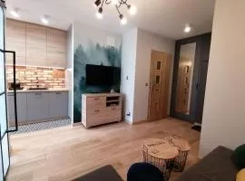 Apartament Bojary