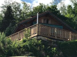 Chalet le Grizzly, cheap hotel in Le Tholy