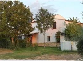 La Aragonesa