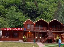 Haros Apart Hotel, holiday rental in Uzungol