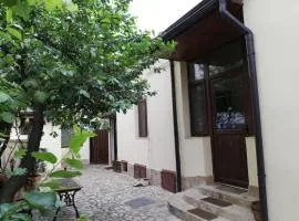 Arthouse Lucrezia