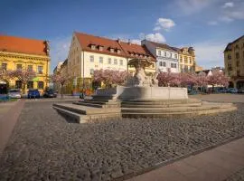 Hotel Česká Koruna