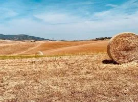 Vacanze sulle colline Toscane ad un passo dal mare