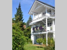 Ferienwohnung Henrich, hotel in Waldshut-Tiengen