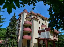 Hotel Resava, hotel v destinaci Despotovac