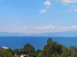The Brothers Villa Hotel