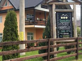 “Doru’ Muntelui”, bed and breakfast en Vatra Dornei