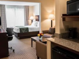 Comfort Suites University Area Notre Dame-South Bend, hotel in South Bend