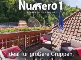 Numero1-Pension und Cafe, cheap hotel in Rübeland