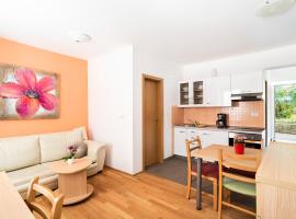 Apartments MEDVED in the historic center