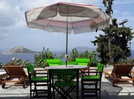 Fantastic House with a Wonderful View of the Sea