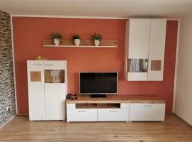 Gemütliche 90 qm Wohnung in Saarburg, zentral gelegen, Garten mit Aussicht, separater Eingang