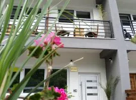 Villa Manteo