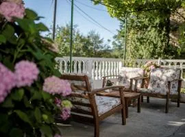 Holiday House Predrag