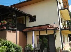 Kuća Marić Mačkat