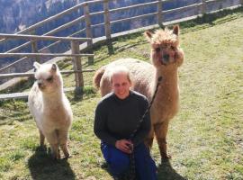 Ferienwohnungen am Pietschacherhof, alquiler vacacional en Hochrindl