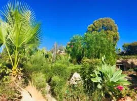 Tenerife Nature Retreat