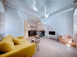 Studio Apartment Vicencina