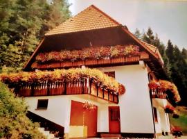 Ferienwohungen im Kuchersbach: Hornberg şehrinde bir ucuz otel