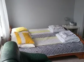 Apartament w centrum