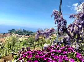 La Casa Dei Nonni