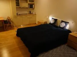 Harrachov Apartmán 206