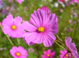 B&B La Giara di Assisi