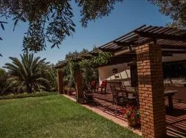 Rancho Toros Pintos