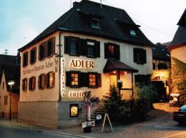 바트 라페나우에 위치한 호텔 Adler Gaststube Hotel Biergarten